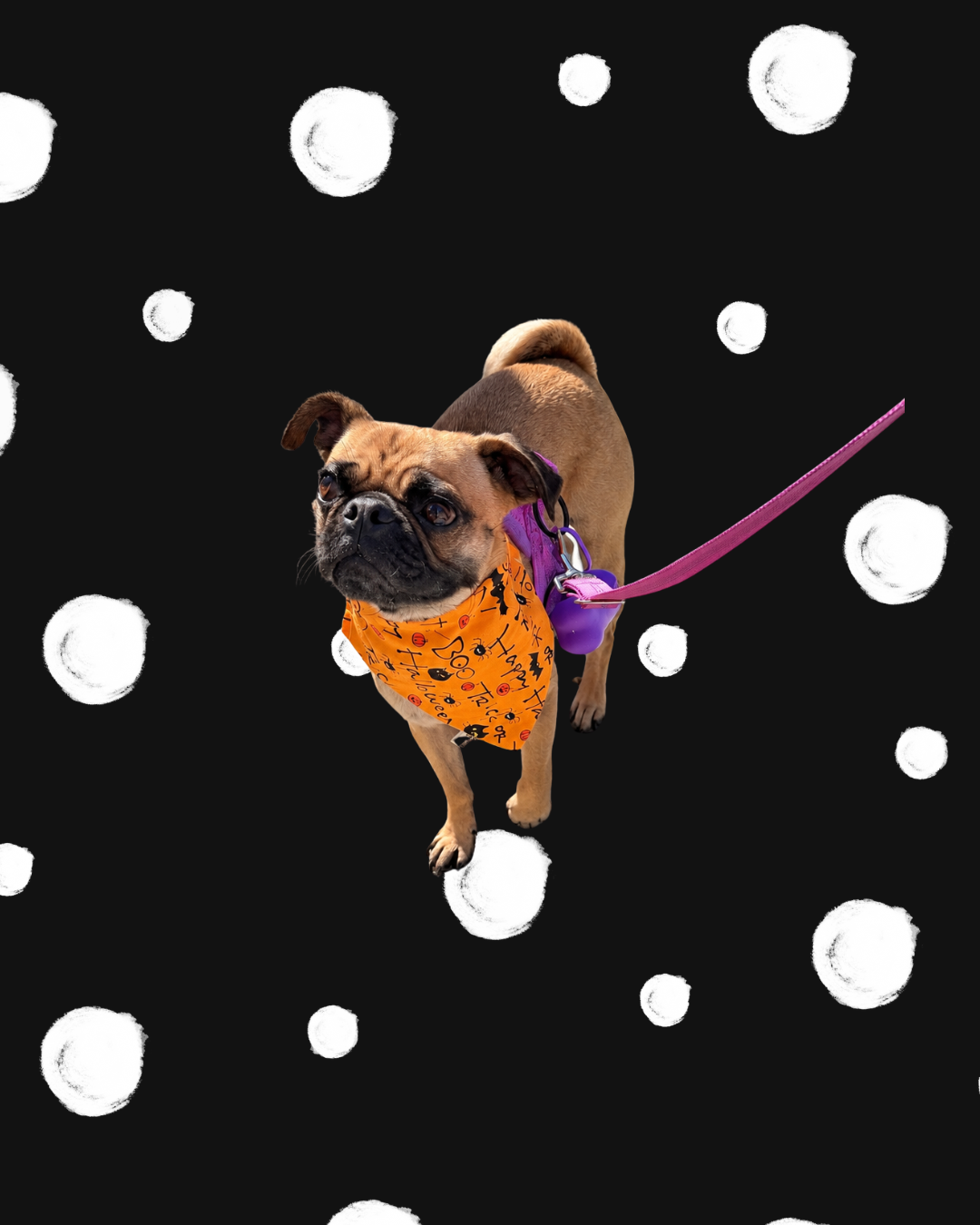 Boo Crew | Handmade Halloween Dog Bandanna