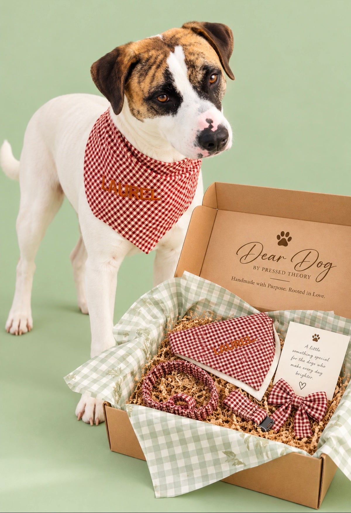 Monthly Dear Dog Box