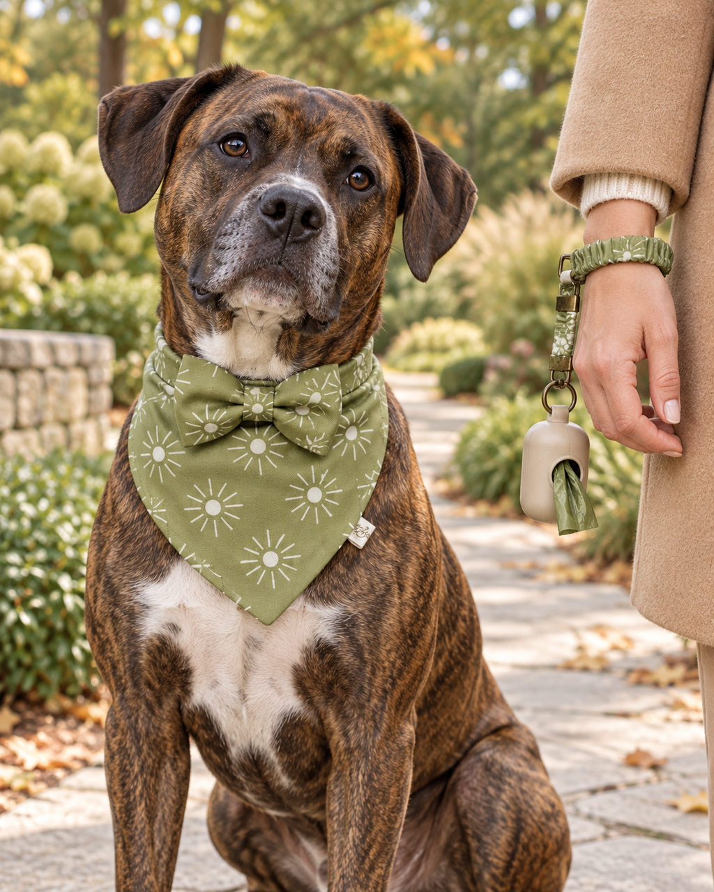 Sage Sunburst Scrunchie Dog Bandanna Matching Set