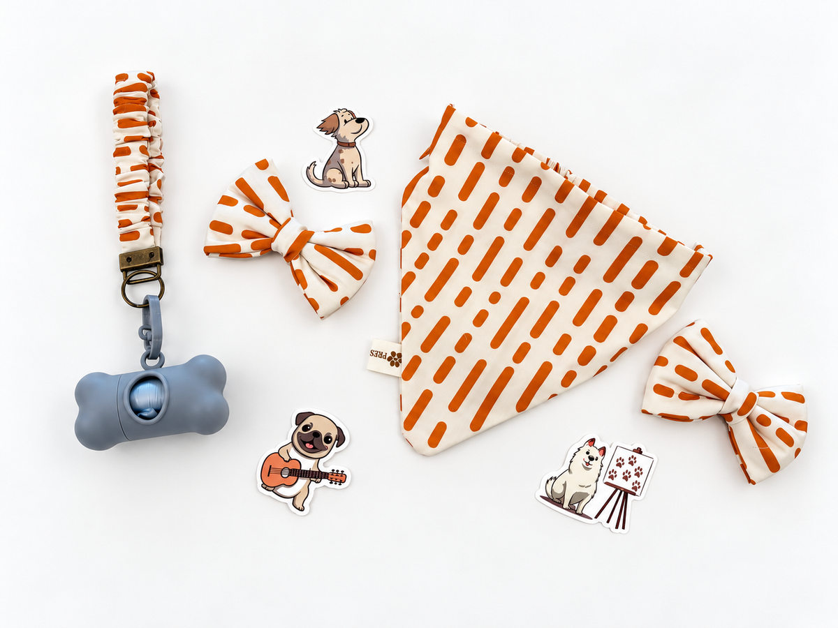 The Clementine Collection | 4-Piece Dog & Me Matching Set