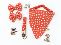 Autumn Grace Scrunchie Dog Bandanna set