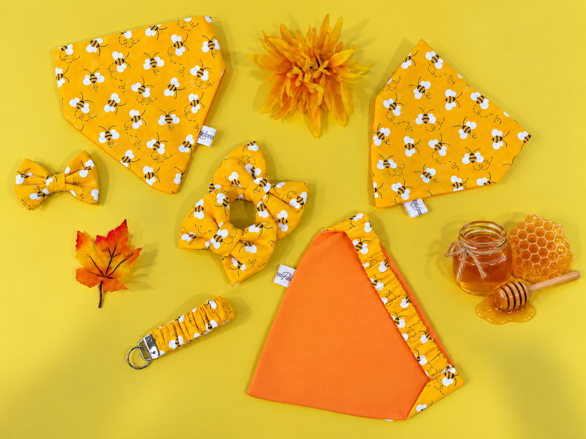 The Honeybee Collection |Reversible Handmade Dog & Me Matching Set