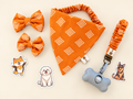 The Golden Hour Collection | Dog & Me Matching Accessories Set