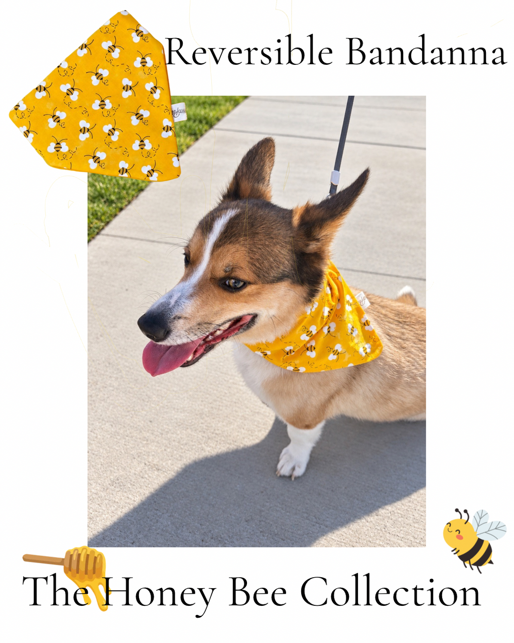 The Honeybee Collection |Reversible Handmade Dog & Me Matching Set