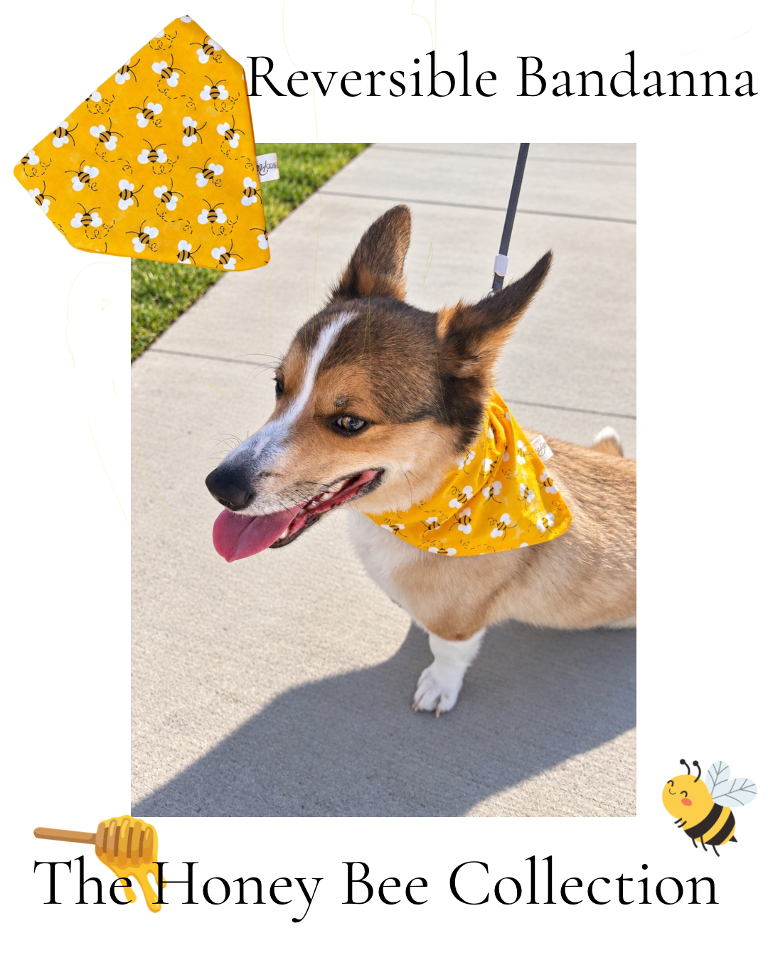 The Honeybee Collection |Reversible Handmade Dog & Me Matching Set