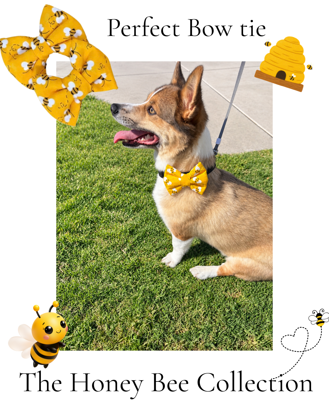 The Honeybee Collection |Reversible Handmade Dog & Me Matching Set