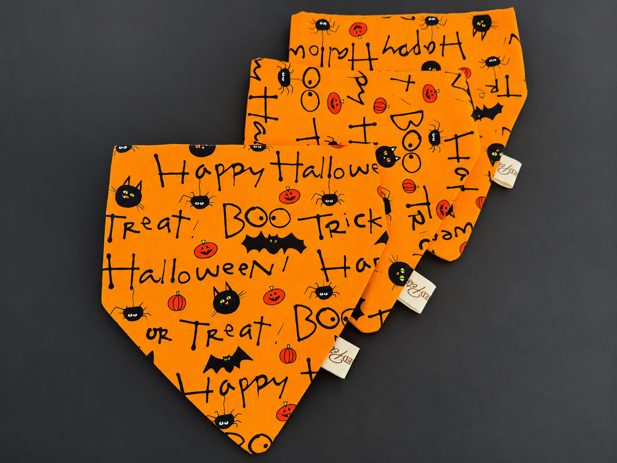 Boo Crew | Handmade Halloween Dog Bandanna