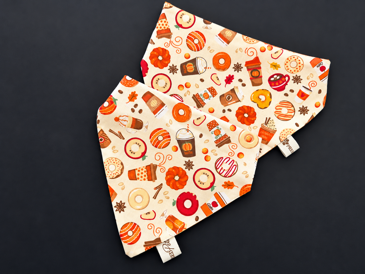 Autumn Harvest | Reversible Scrunchie Dog Bandanna